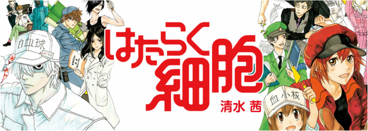 清水茜-《工作細胞》