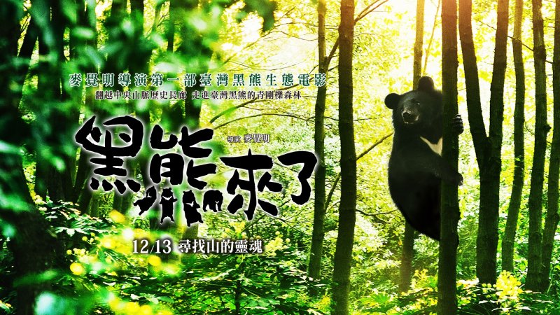 《黑熊來了》森林與山的靈魂在躁動