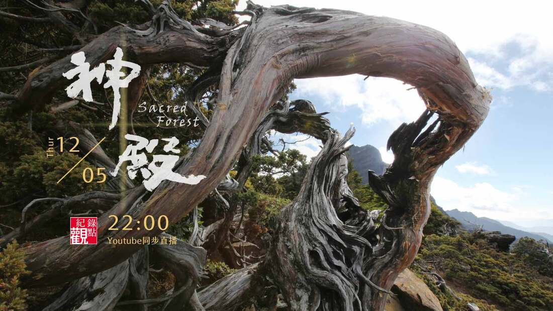 《神殿》台灣首部木林紀錄片