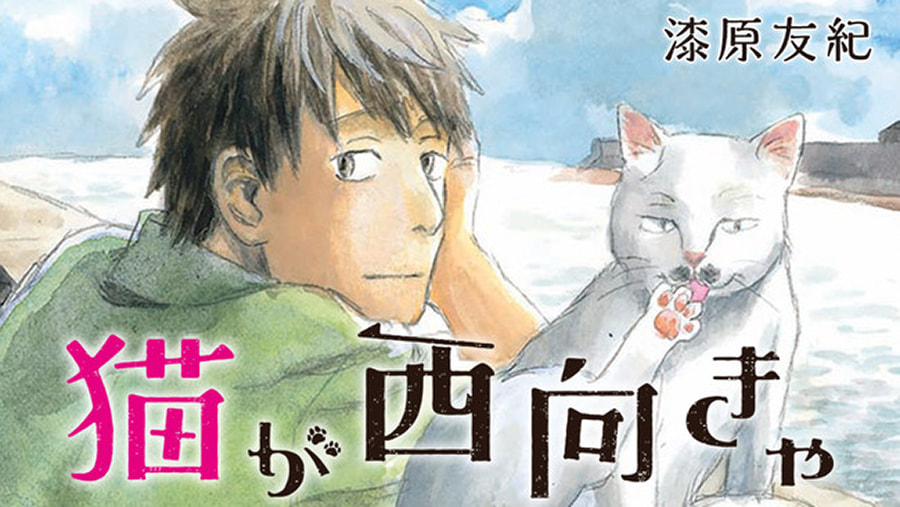 《貓往西走》如果空間會流動的話...