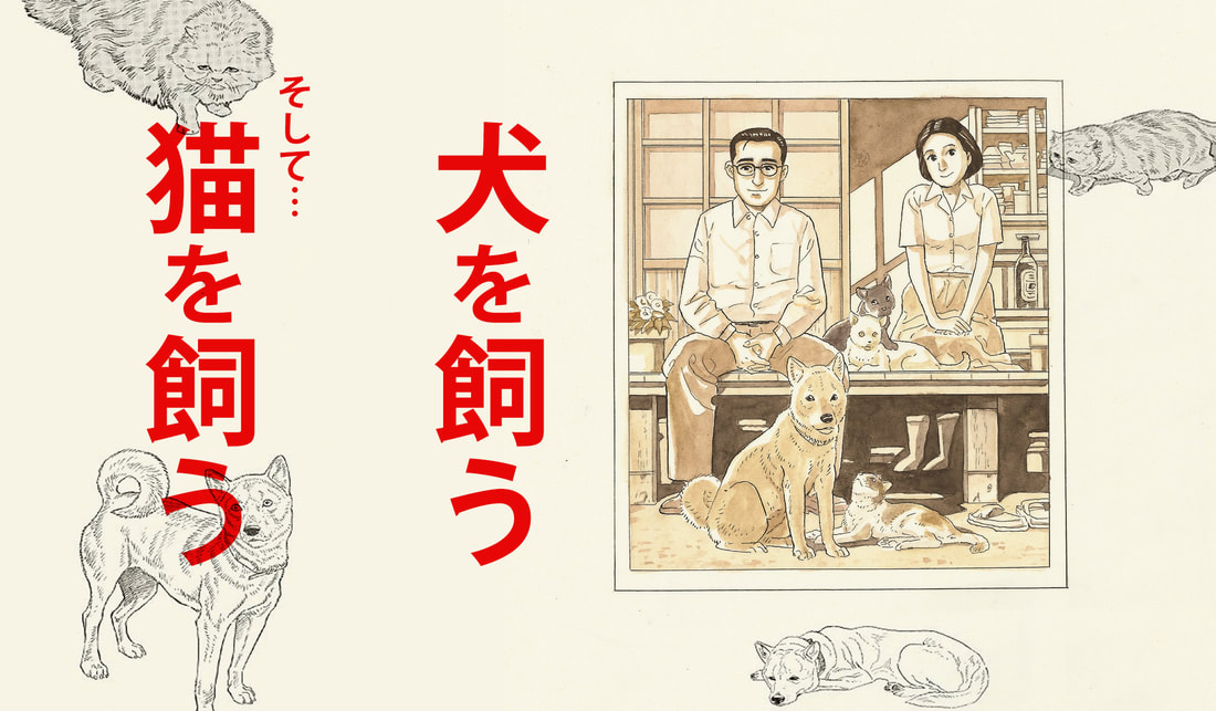 《先養狗，然後養了貓》我陪你走過