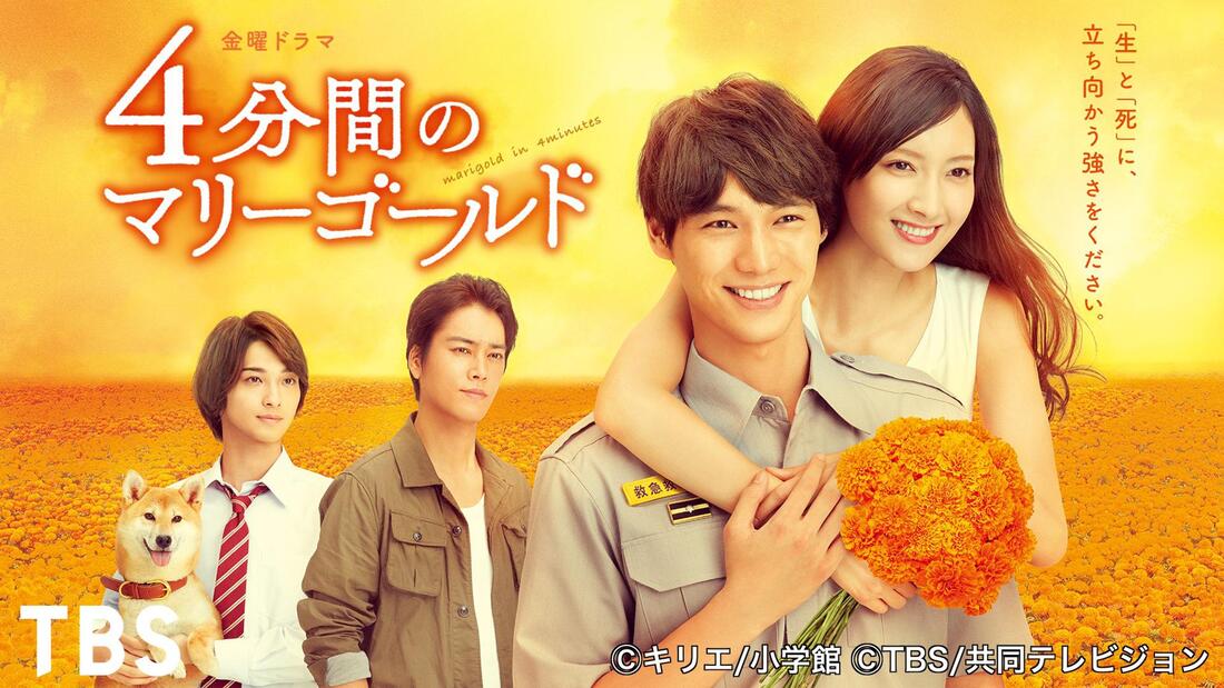 《4分鐘的金盞菊》未來可能改變嗎？